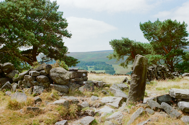 Stone wall and gate with trees.