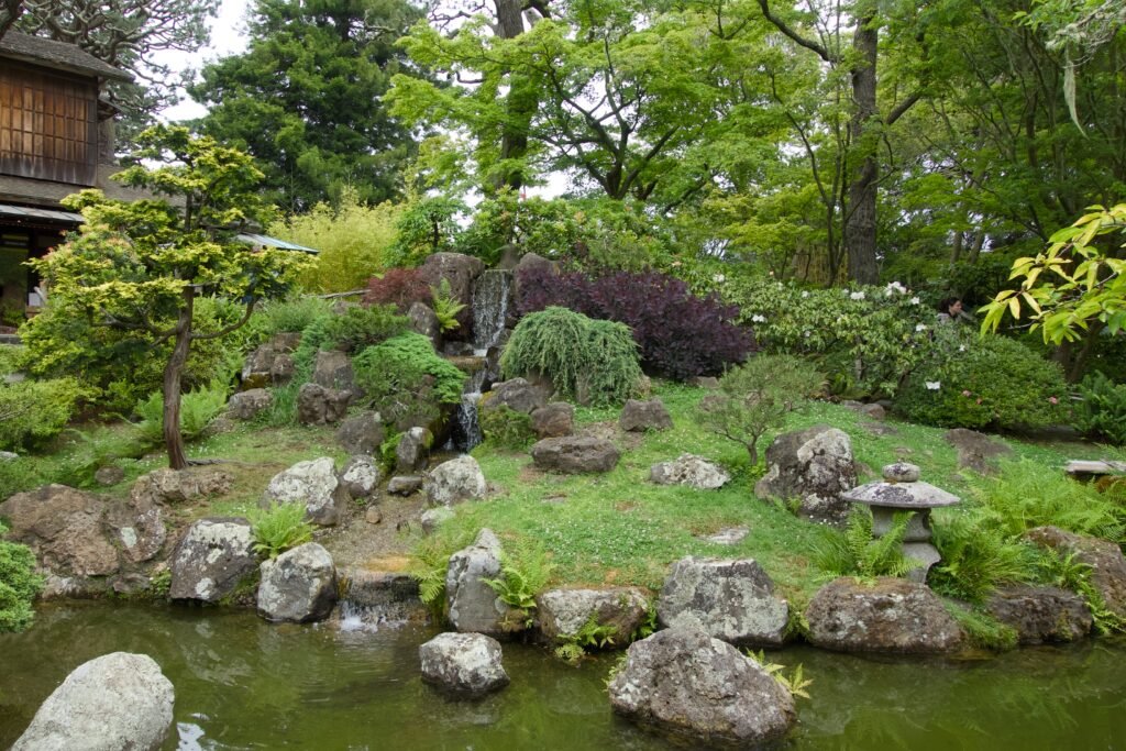 Japanese Tea Garden - Golden Gate Park