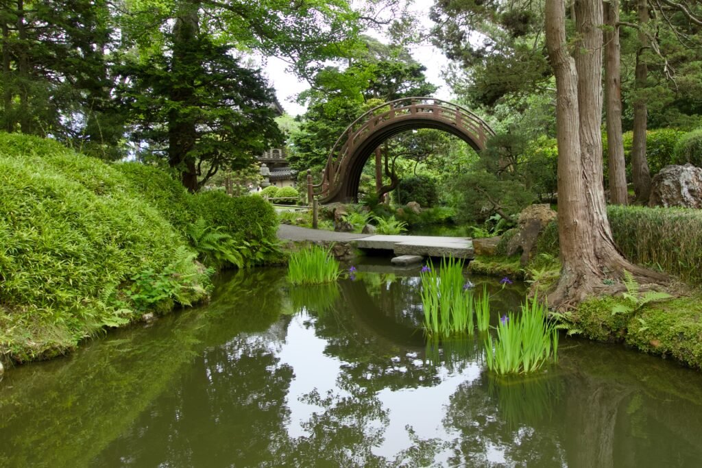 Japanese bridge - Golden Gate Park