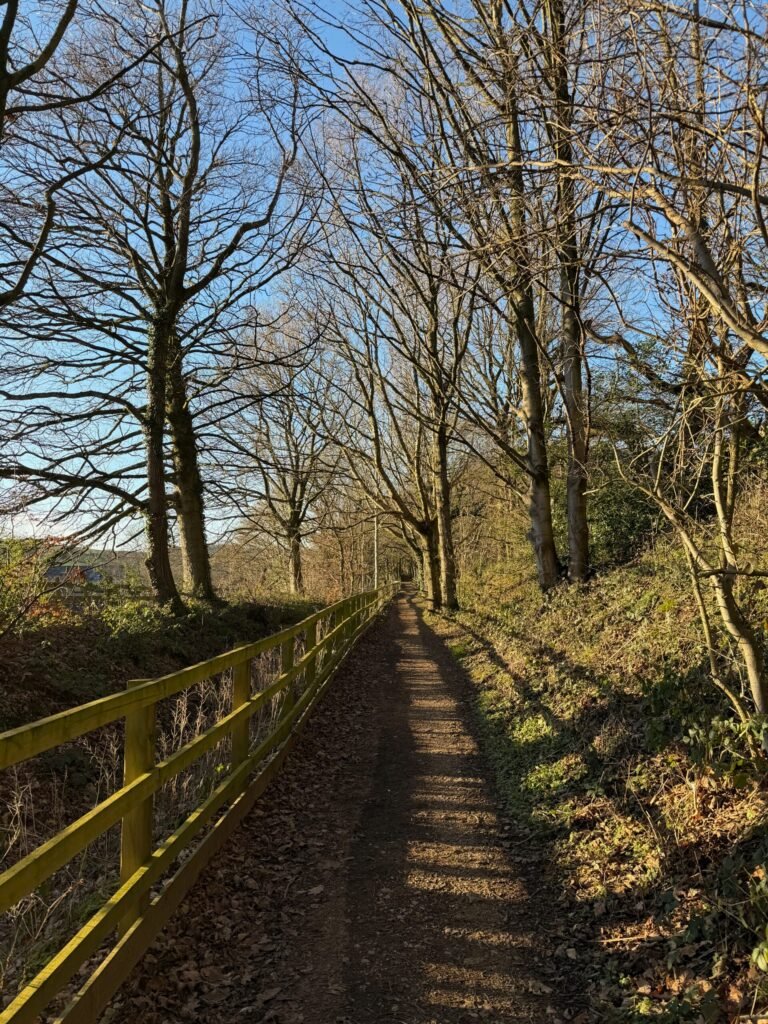 Sunny days on the trail.