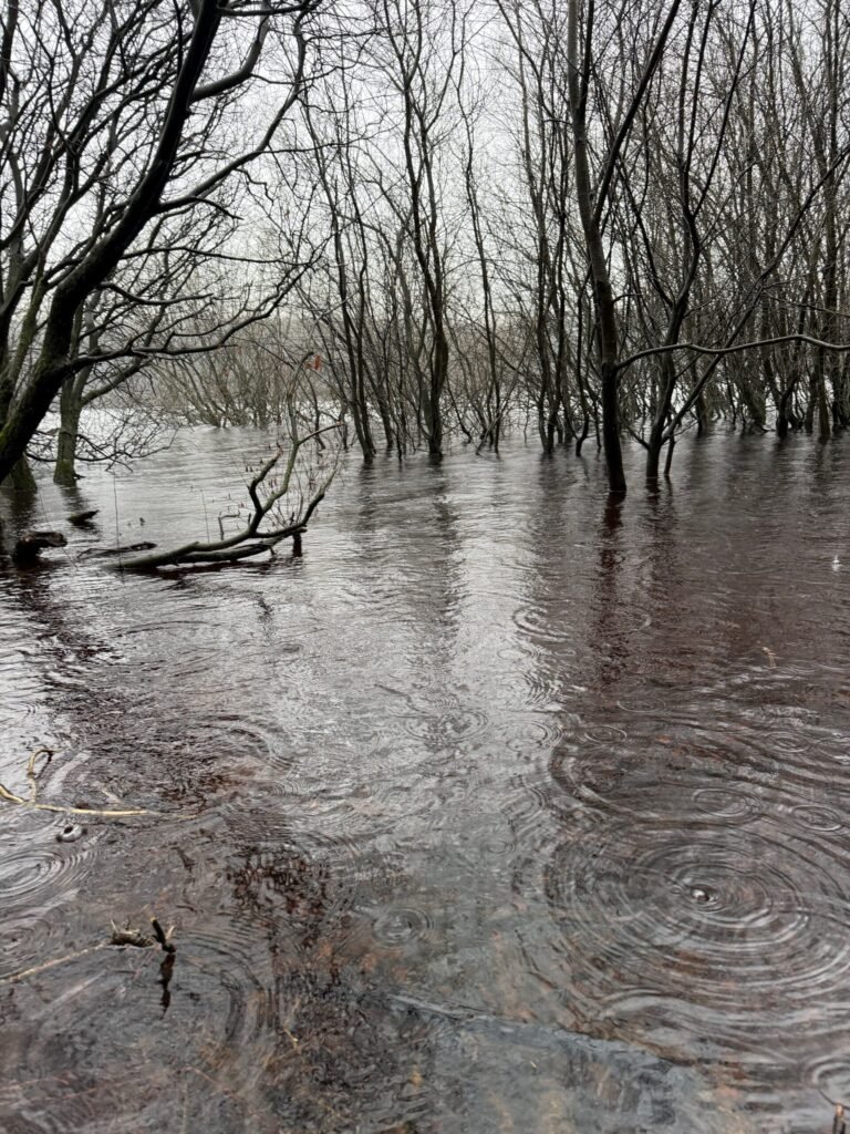 Famine to flood