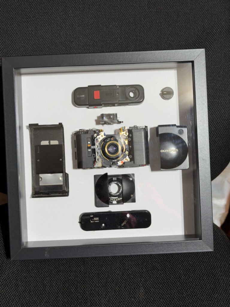 A dismantled Olympus XA2 in a display box