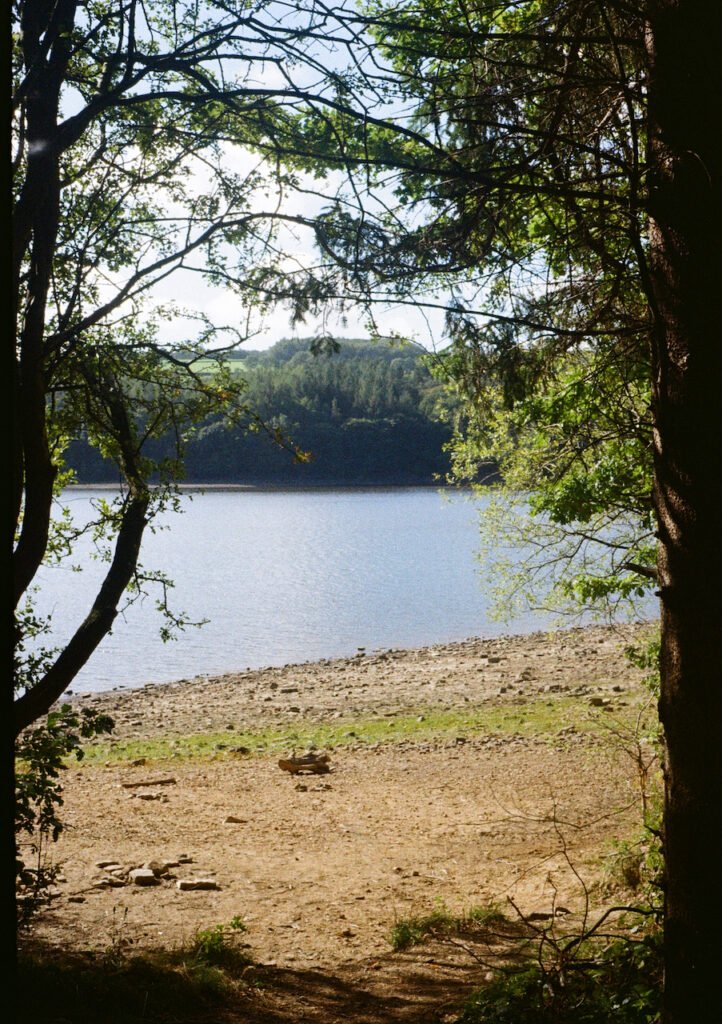 View of water through trees.