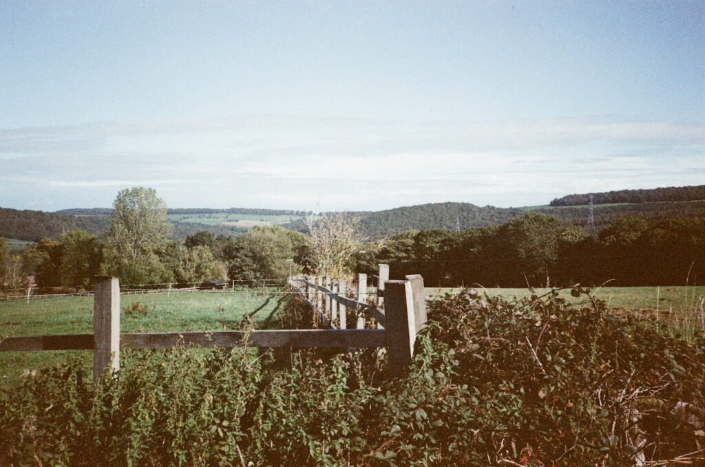 A field with a fence.