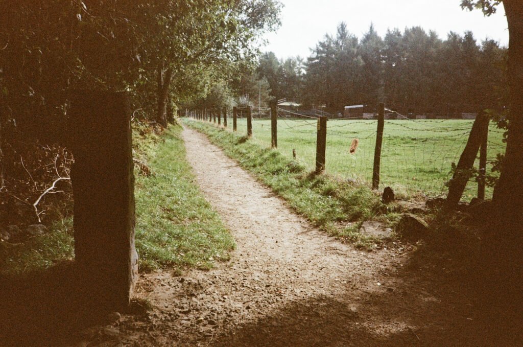 A path with a fence one side and trees the other.