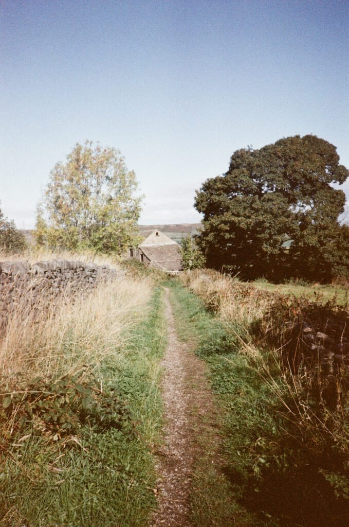 A path with grass and hedges, towards a stone building